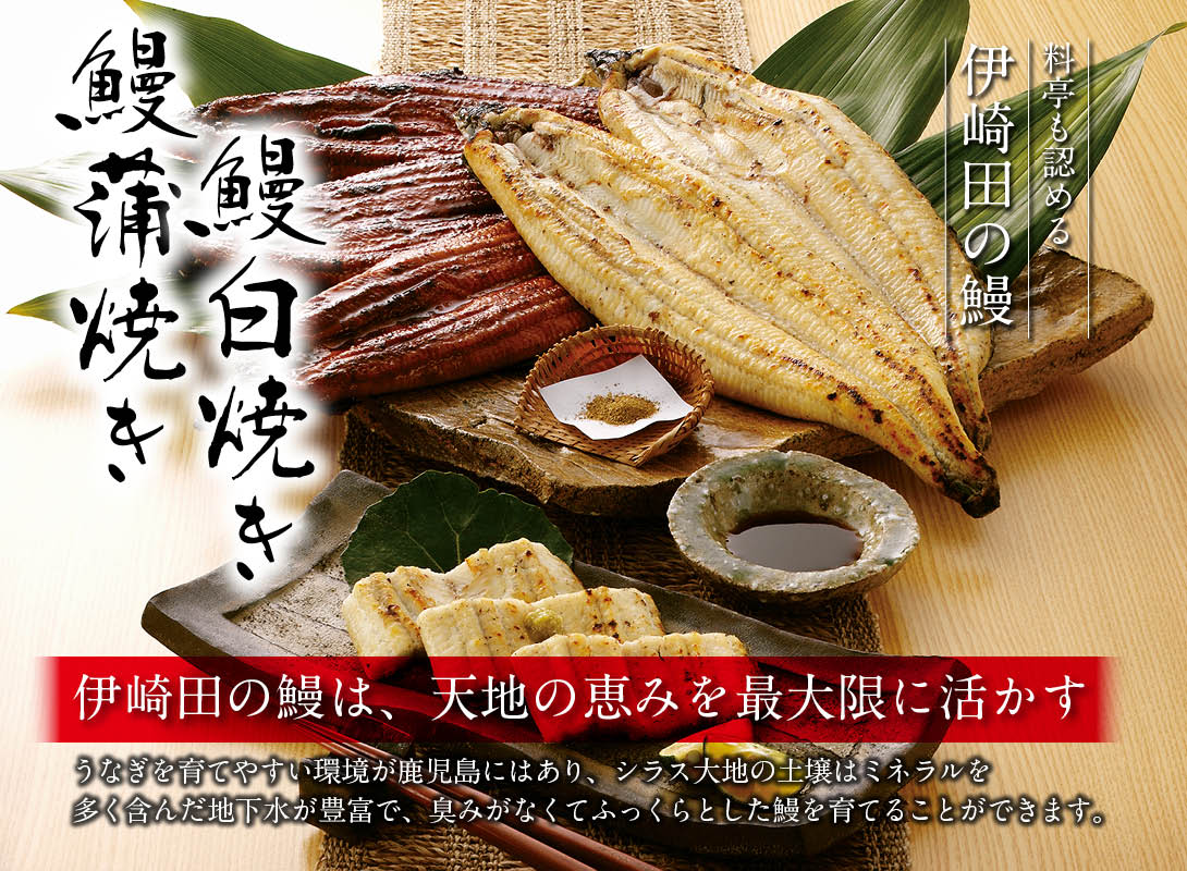 伊崎田の蒲焼・白焼き詰合せ
