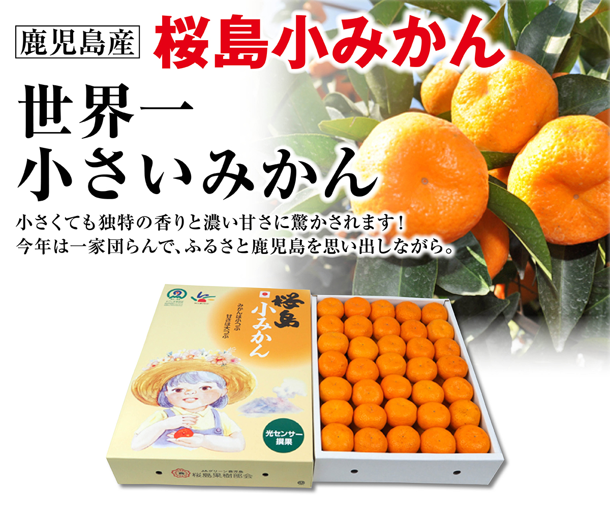 桜島小みかん