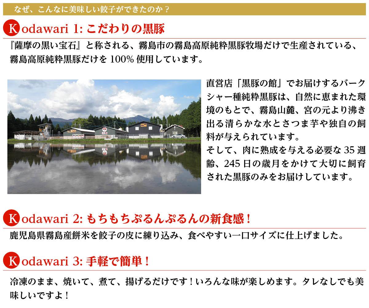 なぜこんなに美味しい餃子ができたのか
