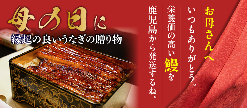 母の日にうなぎの贈り物