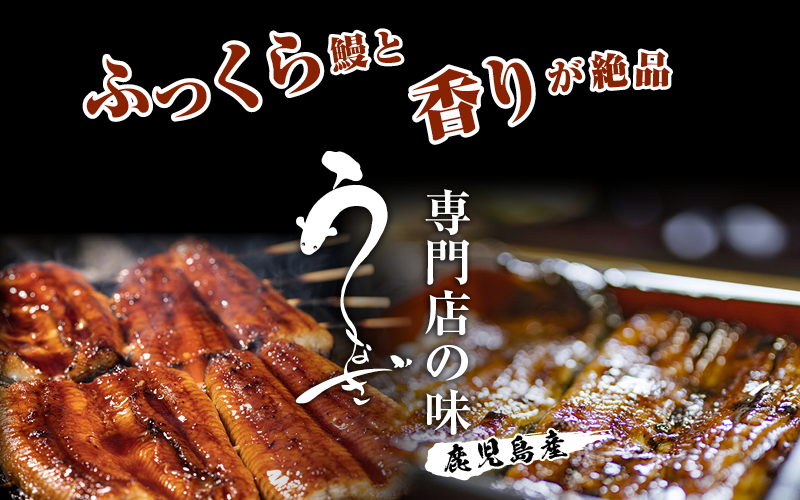 うなぎ専門店