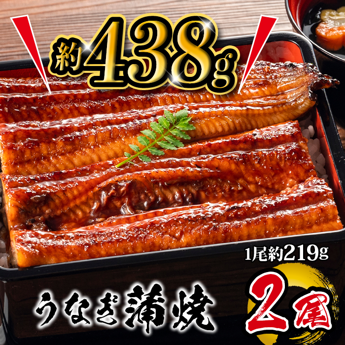 うなぎ蒲焼き 約219g×2本
