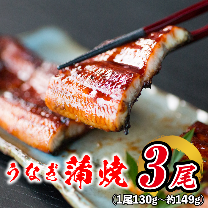 有頭 うなぎ蒲焼き 鹿児島産 約149g×3本 
